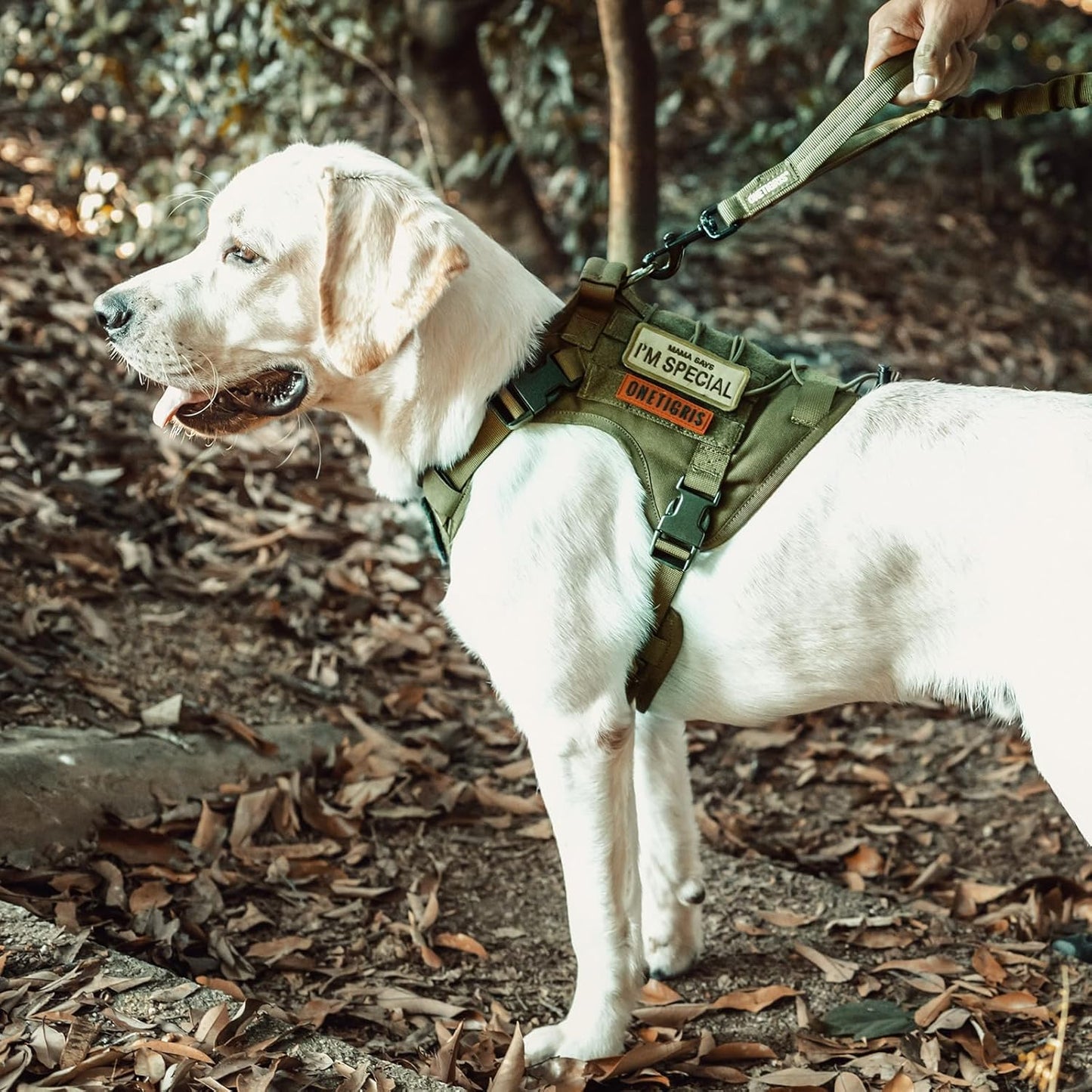 Ultimate Tactical Dog Harness - No-Pull, Breathable, and Adjustable Pet Vest for Outdoor Adventures (Ranger Green, Small)