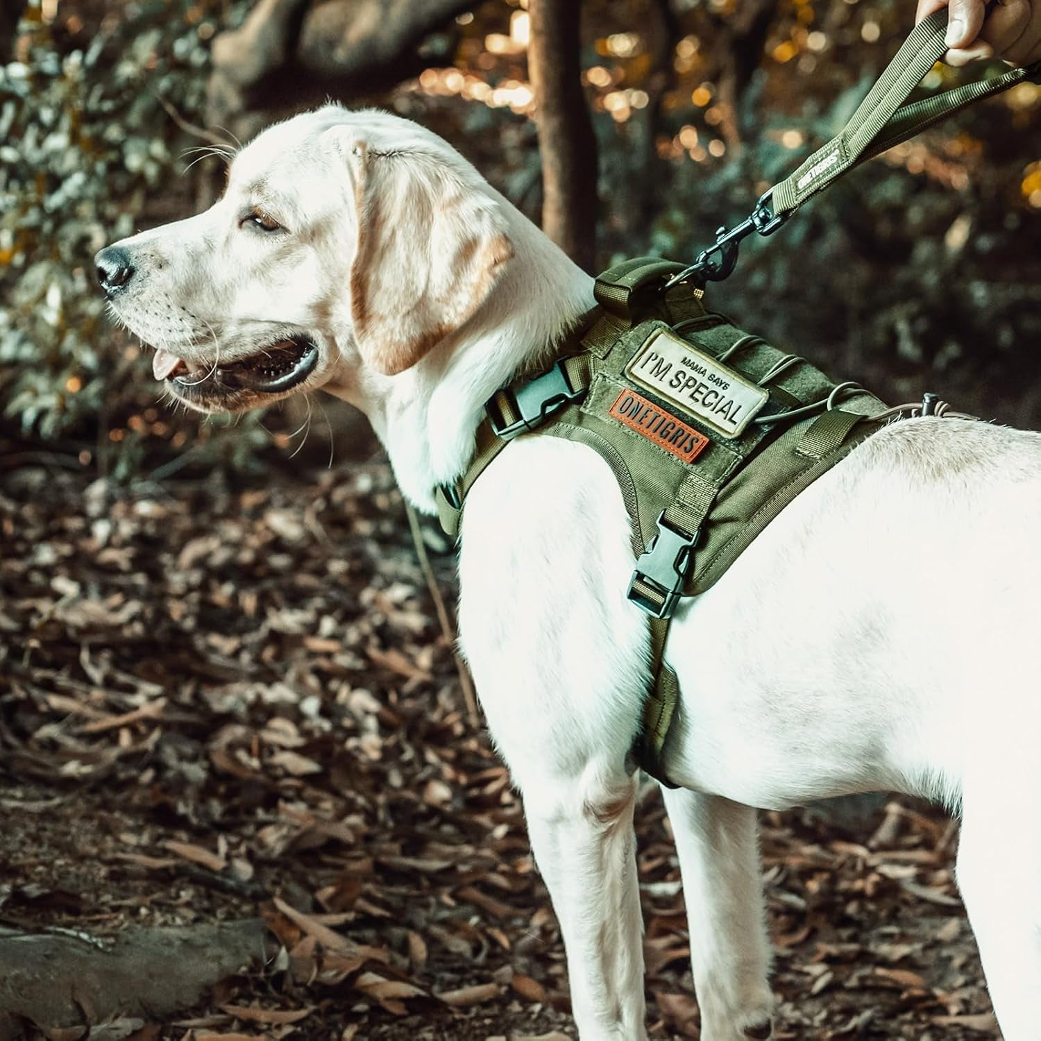Ultimate Tactical Dog Harness - No-Pull, Breathable, and Adjustable Pet Vest for Outdoor Adventures (Ranger Green, Small)