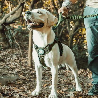 Ultimate Tactical Dog Harness - No-Pull, Breathable, and Adjustable Pet Vest for Outdoor Adventures (Ranger Green, Small)