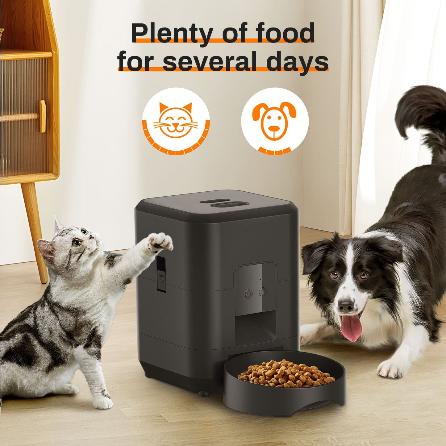 Revolutionize Your Pet's Feeding Routine with the HEYBO Smart Pet Feeder - Automatic 2L Capacity for Cats & Small Dogs