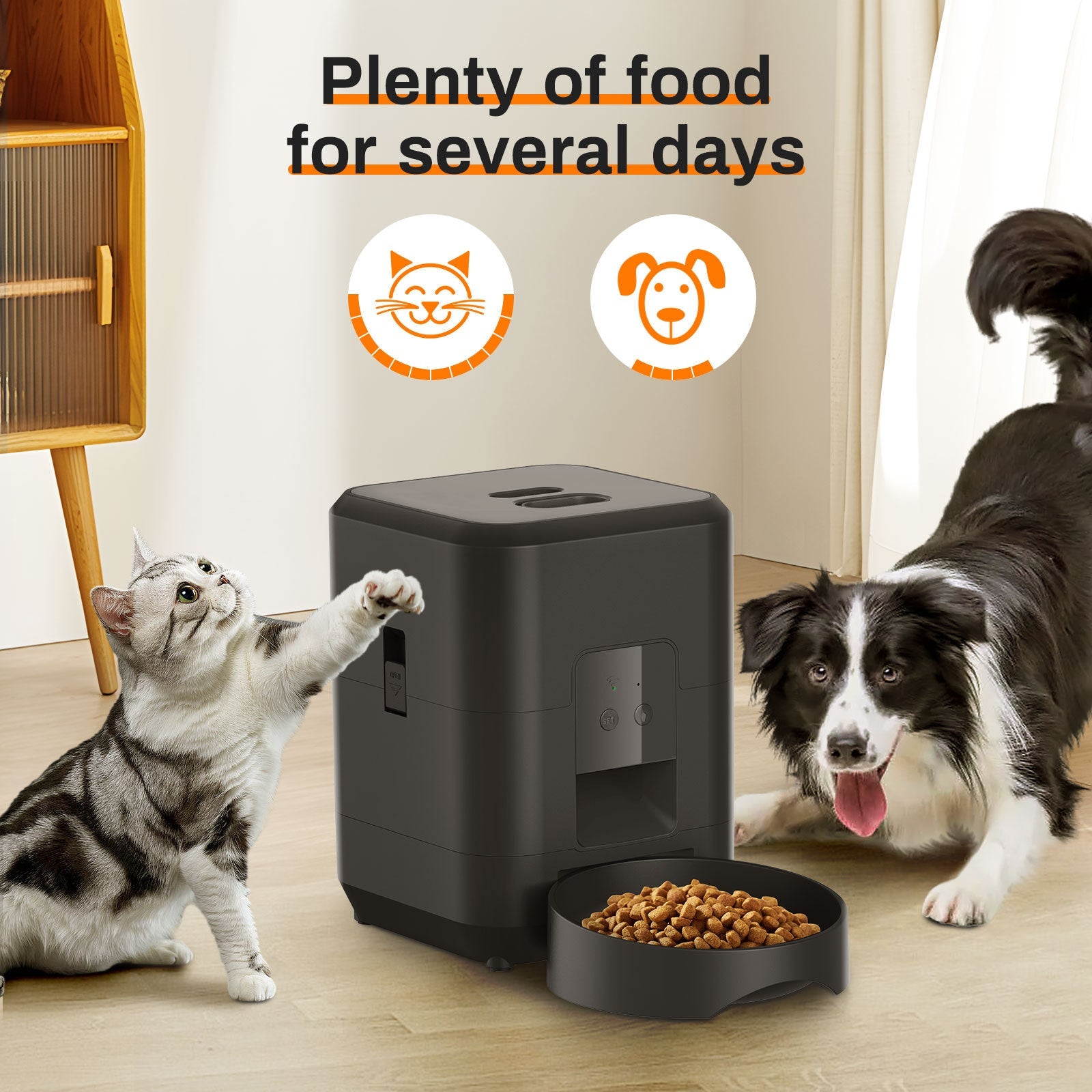 Revolutionize Your Pet's Feeding Routine with the HEYBO Smart Pet Feeder - Automatic 2L Capacity for Cats & Small Dogs